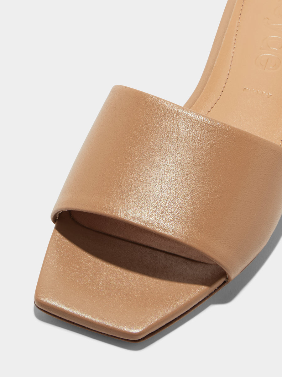 Aeyde | Anna Leather Flat Sandals for Women | Hazelnut Nappa | Square Toe | Flat Heel | Heel Details [x=50,y=85]