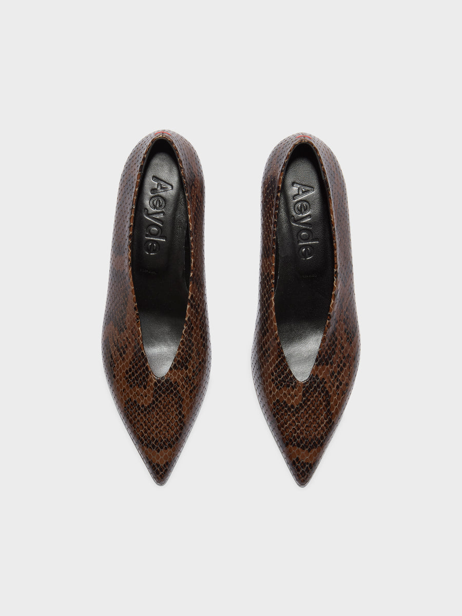 Aeyde | Clara Leather Pumps for Women | Moka Snake | Pointed Toe | Low Heel | Front View [x=50,y=85]