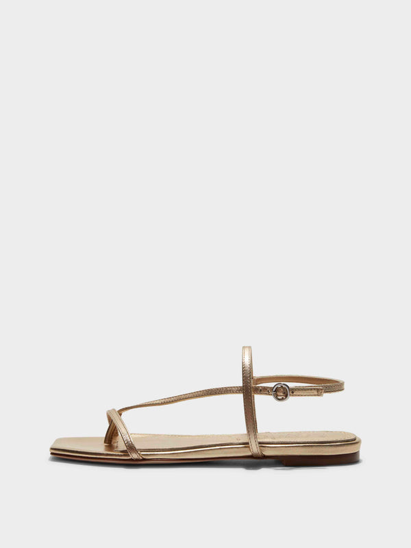 Aeyde | Ella Leather Flat Sandals for Women | Gold Nappa | Square Toe | Flat Heel | Side View [x=50,y=85]