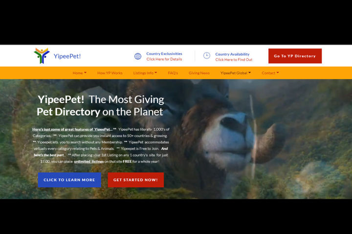 YipeePet - The Most Giving Pet Directory on the Planet